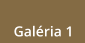 Galéria 1