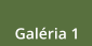 Galéria 1